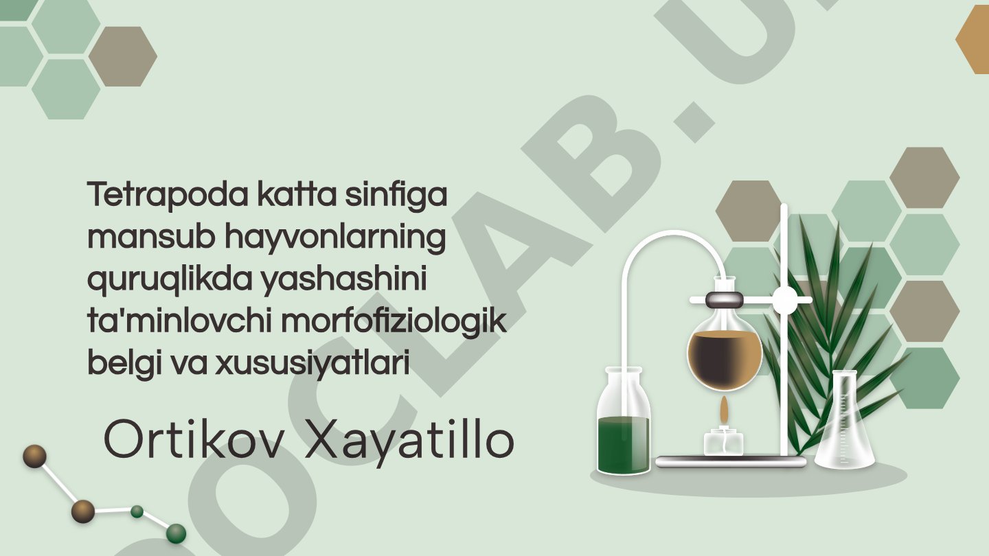 Tetrapoda katta sinfiga mansub hayvonlarning quruqlikda yashashini ta'minlovchi morfofiziologik belgi va xususiyatlari