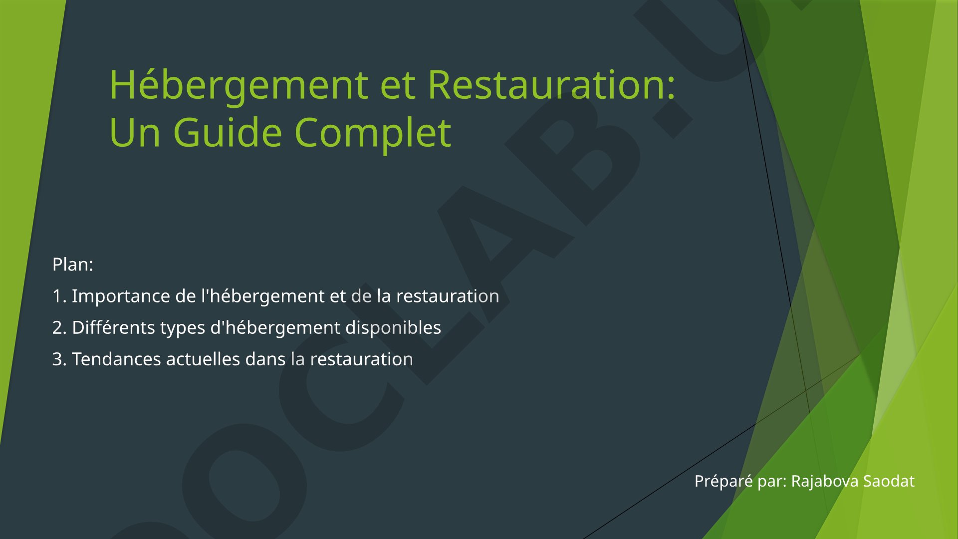 Hébergement et Restauration: Un Guide Complet