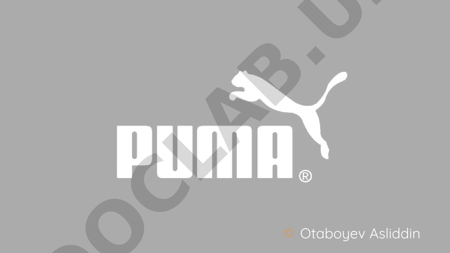 Puma kompaniyasi haqida qisqacha ma'lumot