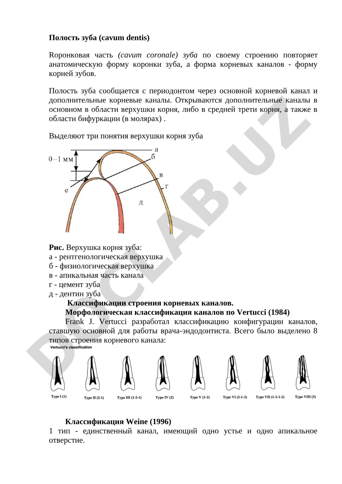 Полость зуба и классификация корневых каналов