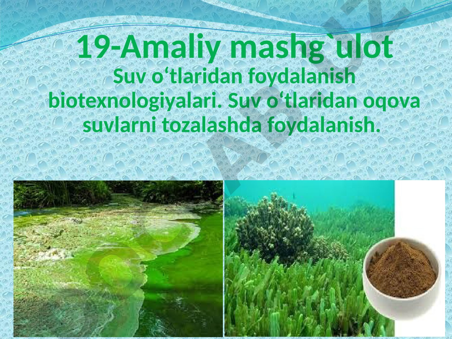Suv o'tlaridan foydalanish biotexnologiyalari