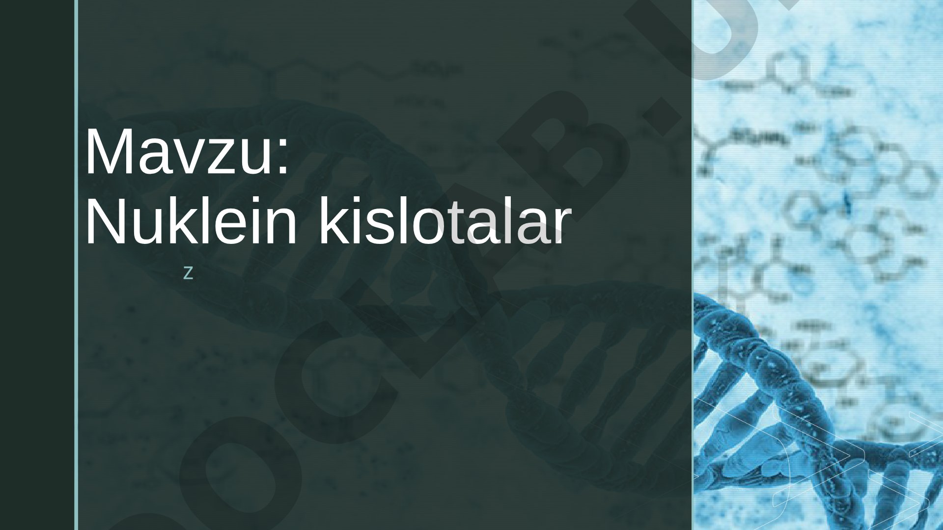 Nuklein kislotalar