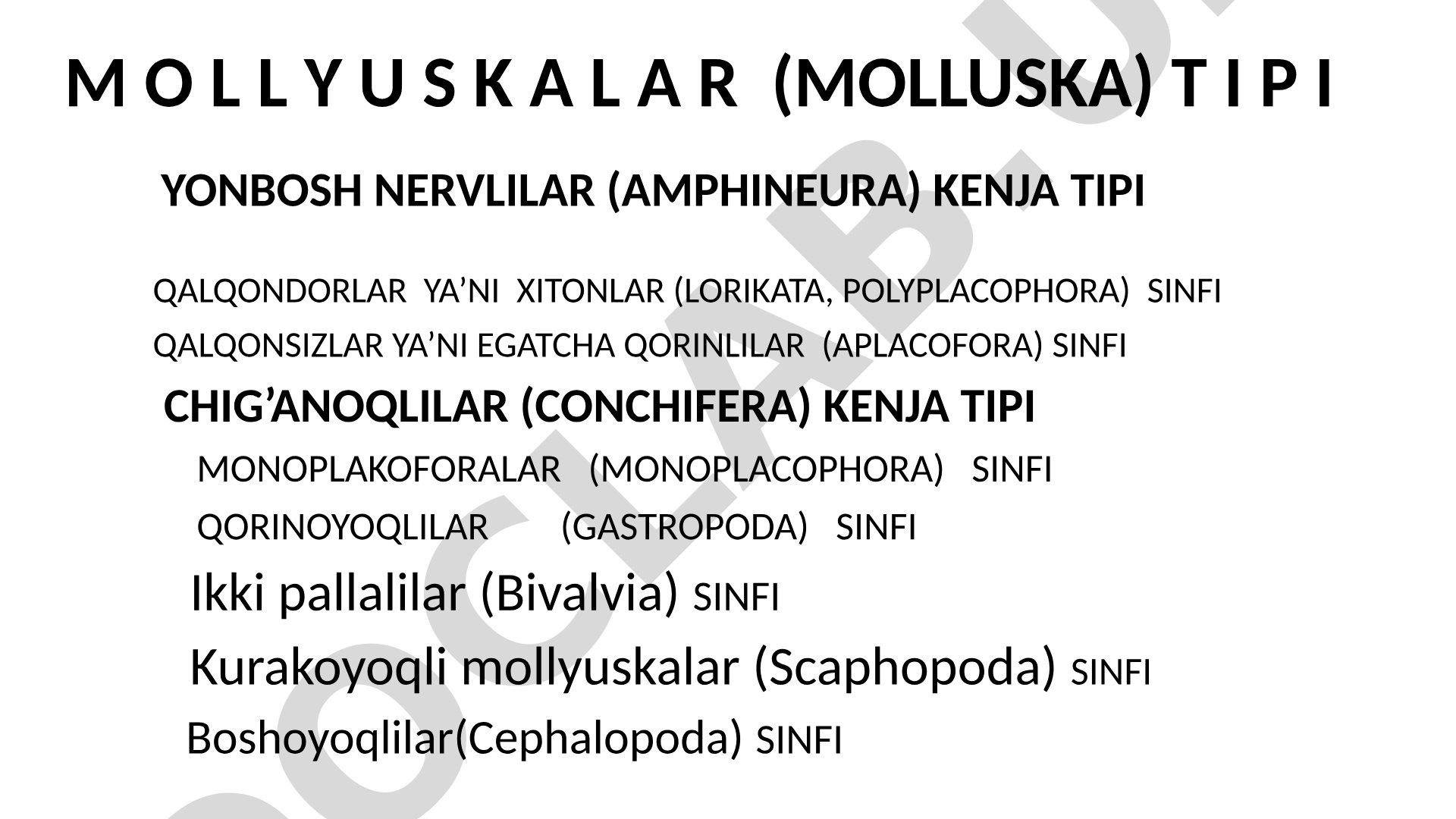 Mollyuskalar (Mollusca) tipining tasnifi va tuzilishi