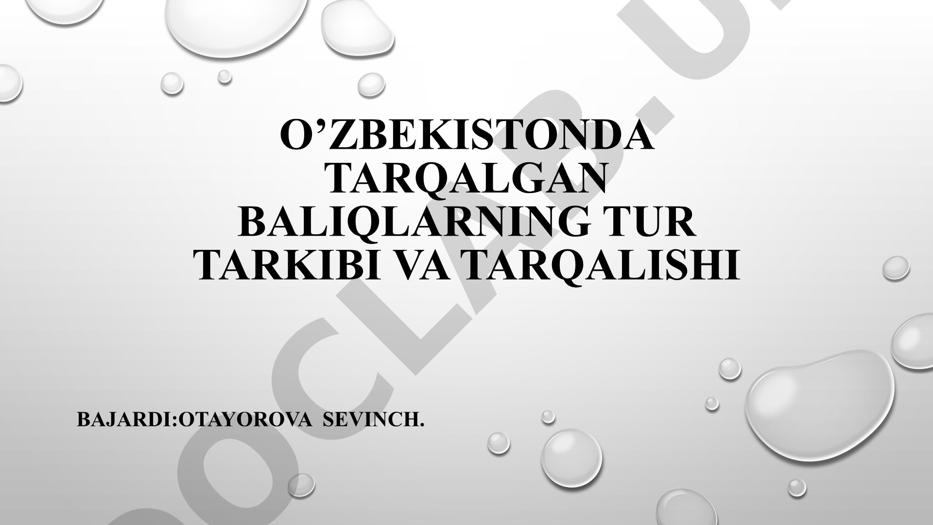 O’zbekistonda tarqalgan baliqlarning tur tarkibi va tarqalishi