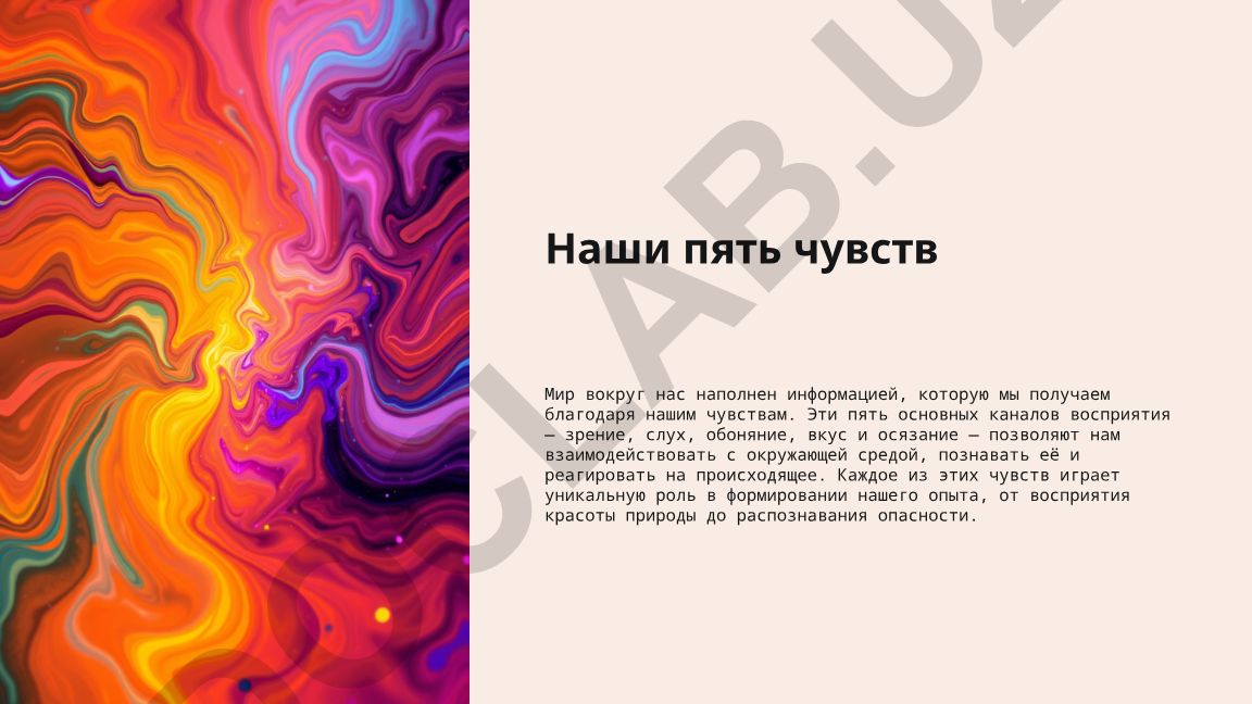 Пять основных чувств человека и их роль в восприятии мира