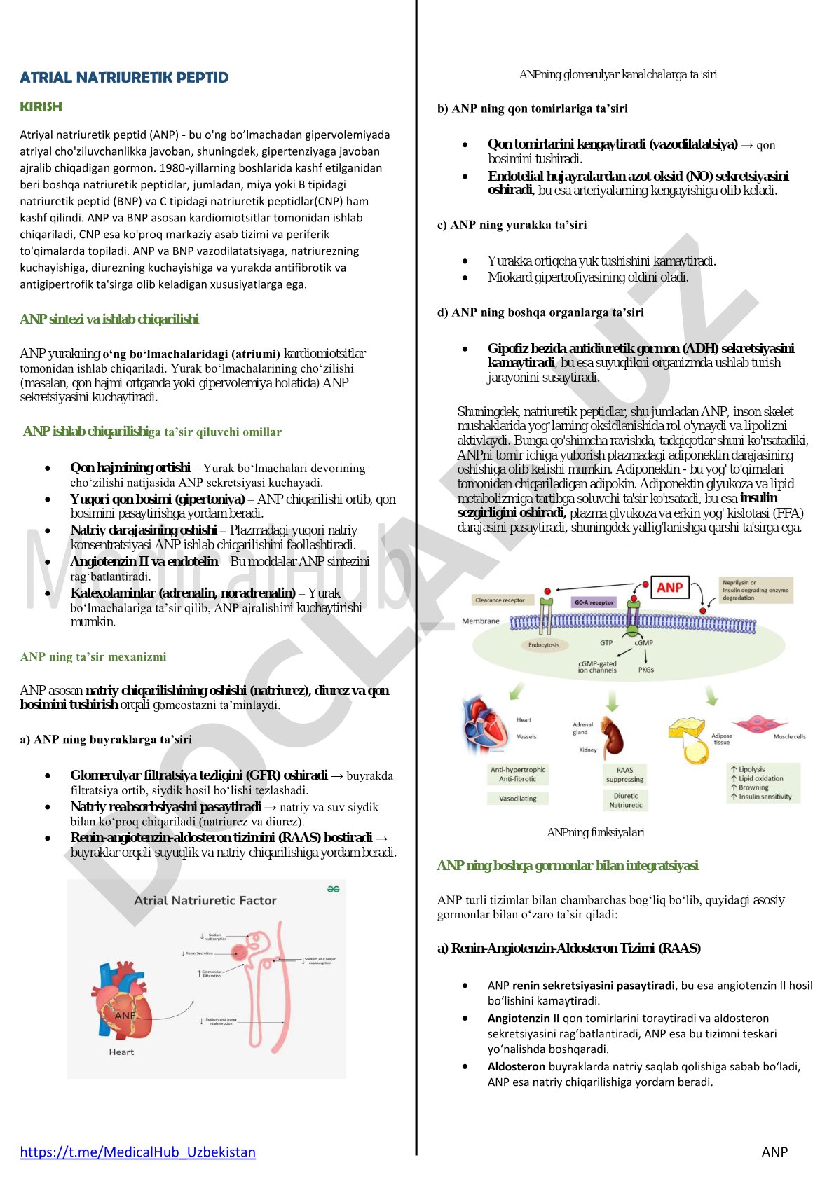 Atrial natriuretik peptid (ANP) haqida ma'lumot