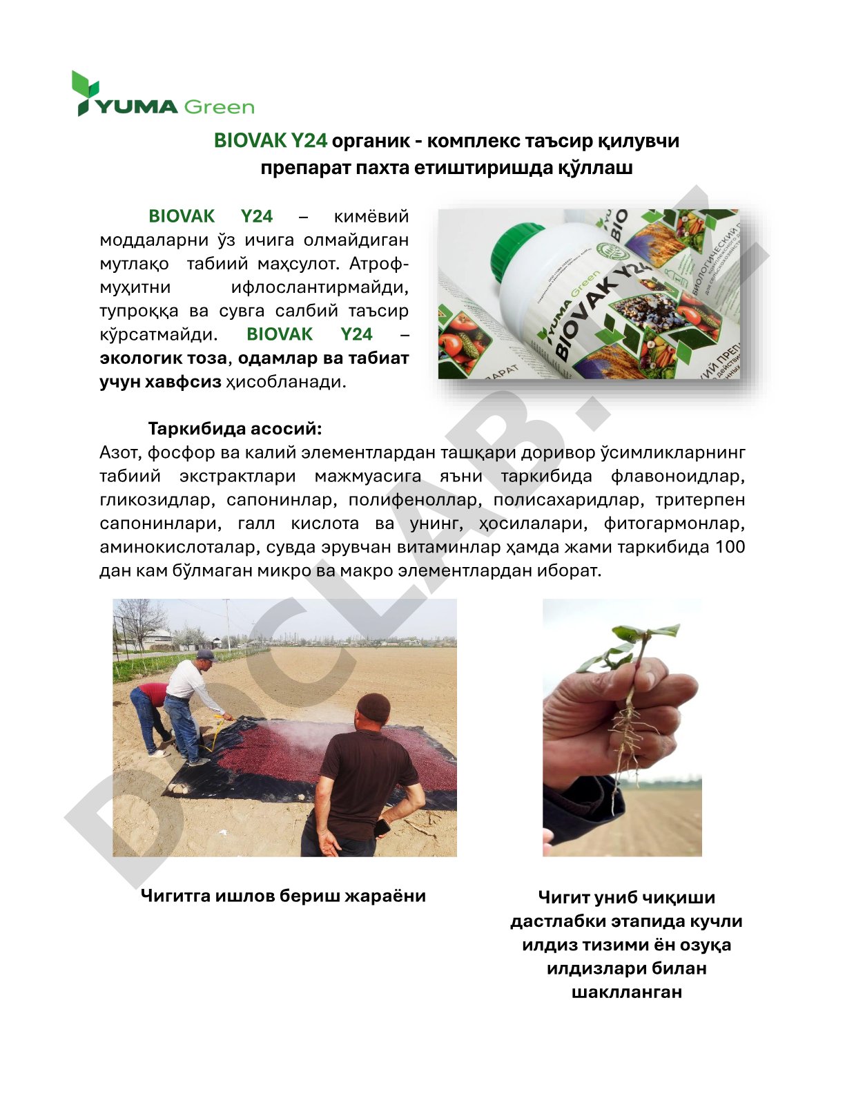 BIOVAK Y24 органик - комплекс таъсир қилувчи препарат пахта етиштиришда қўллаш
