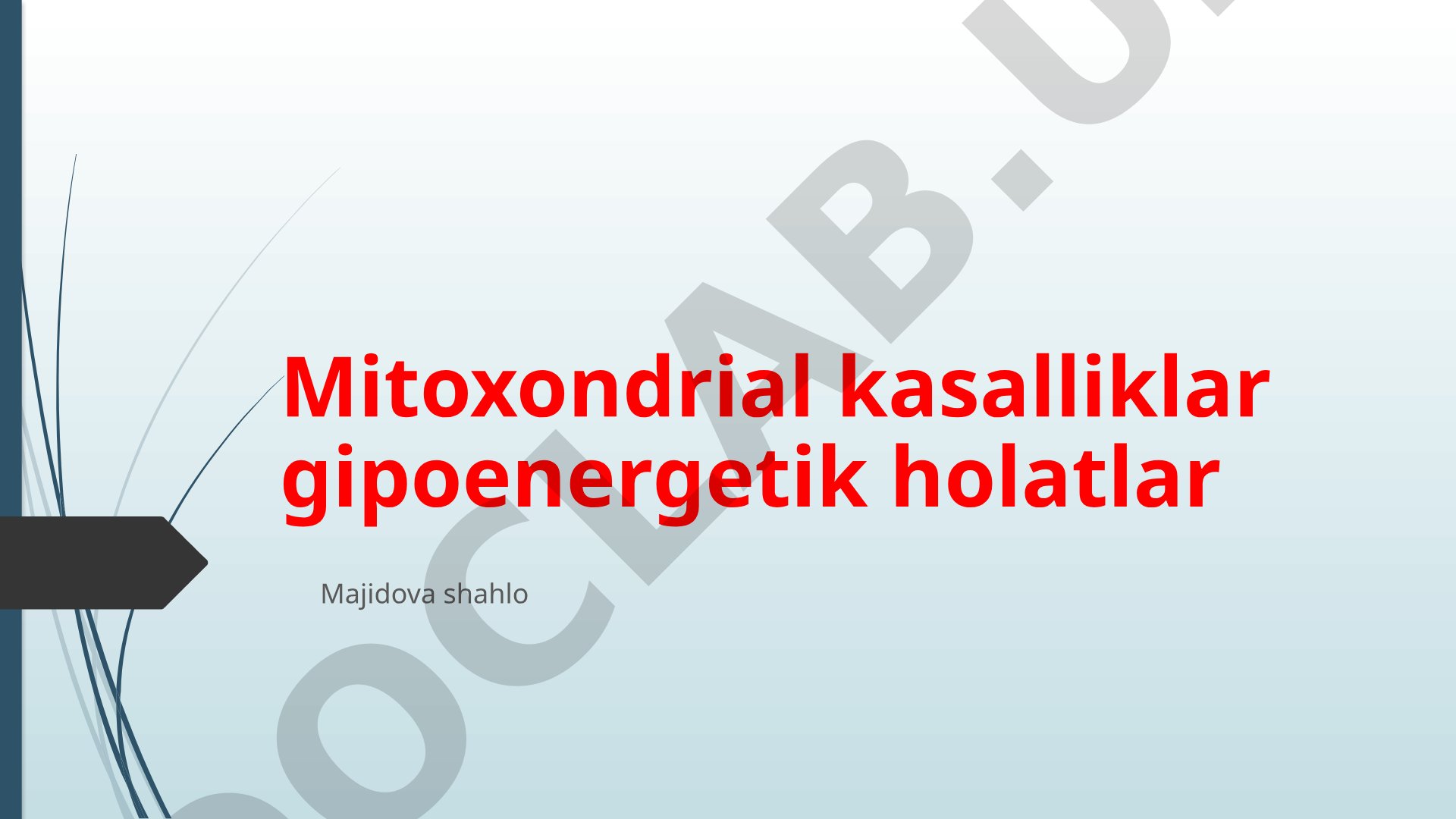 Mitoxondrial kasalliklar gipoenergetik holatlar