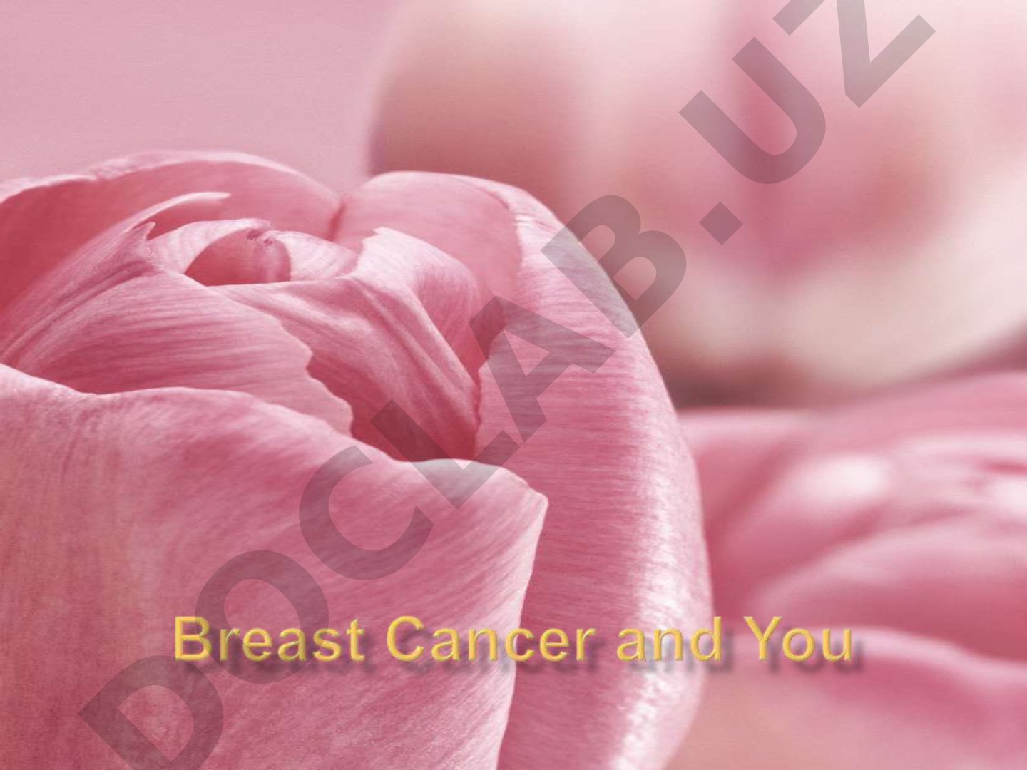 Breast Cancer and Lymphatic System Overview