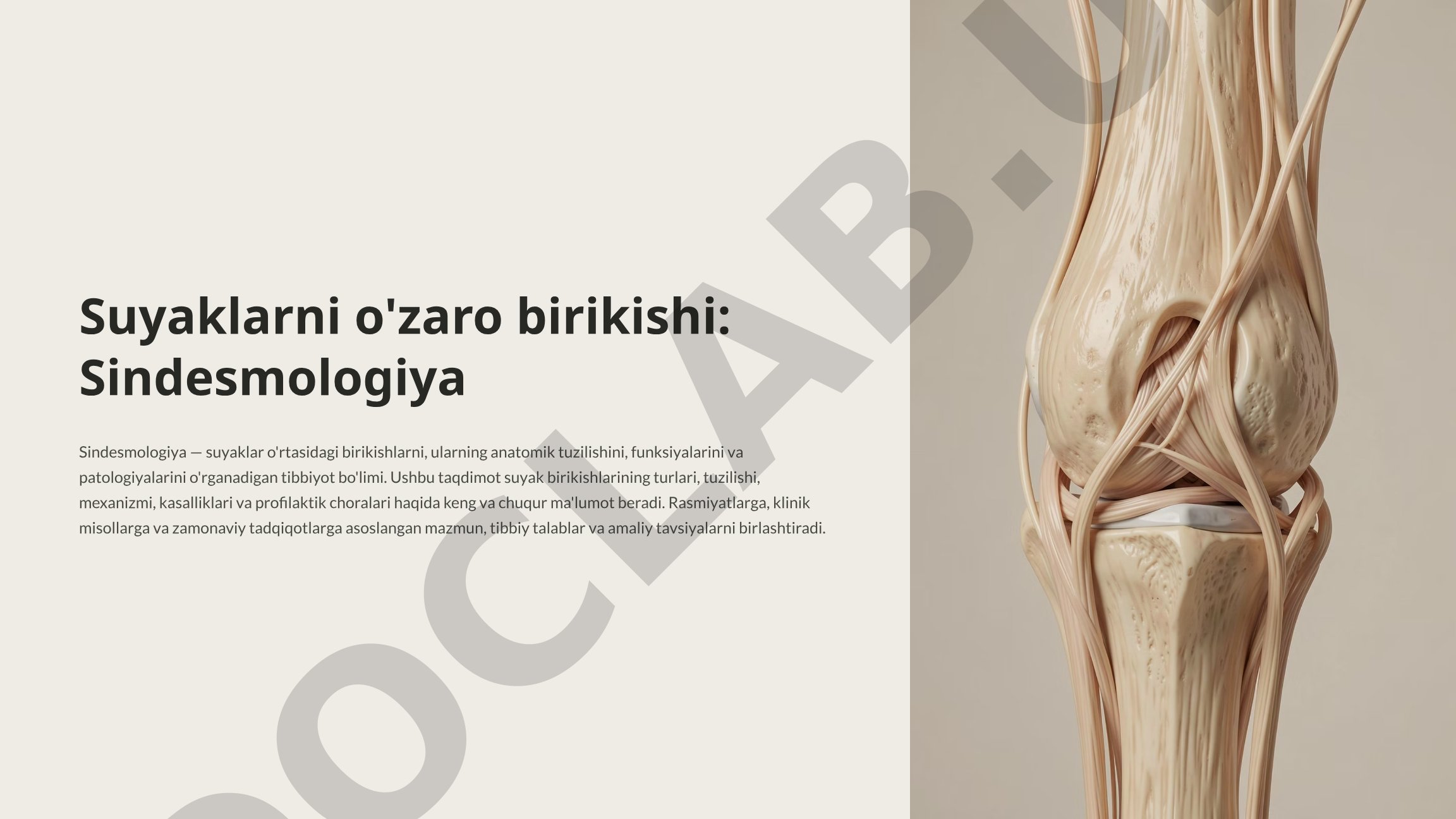 Suyaklarni o'zaro birikishi: Sindesmologiya