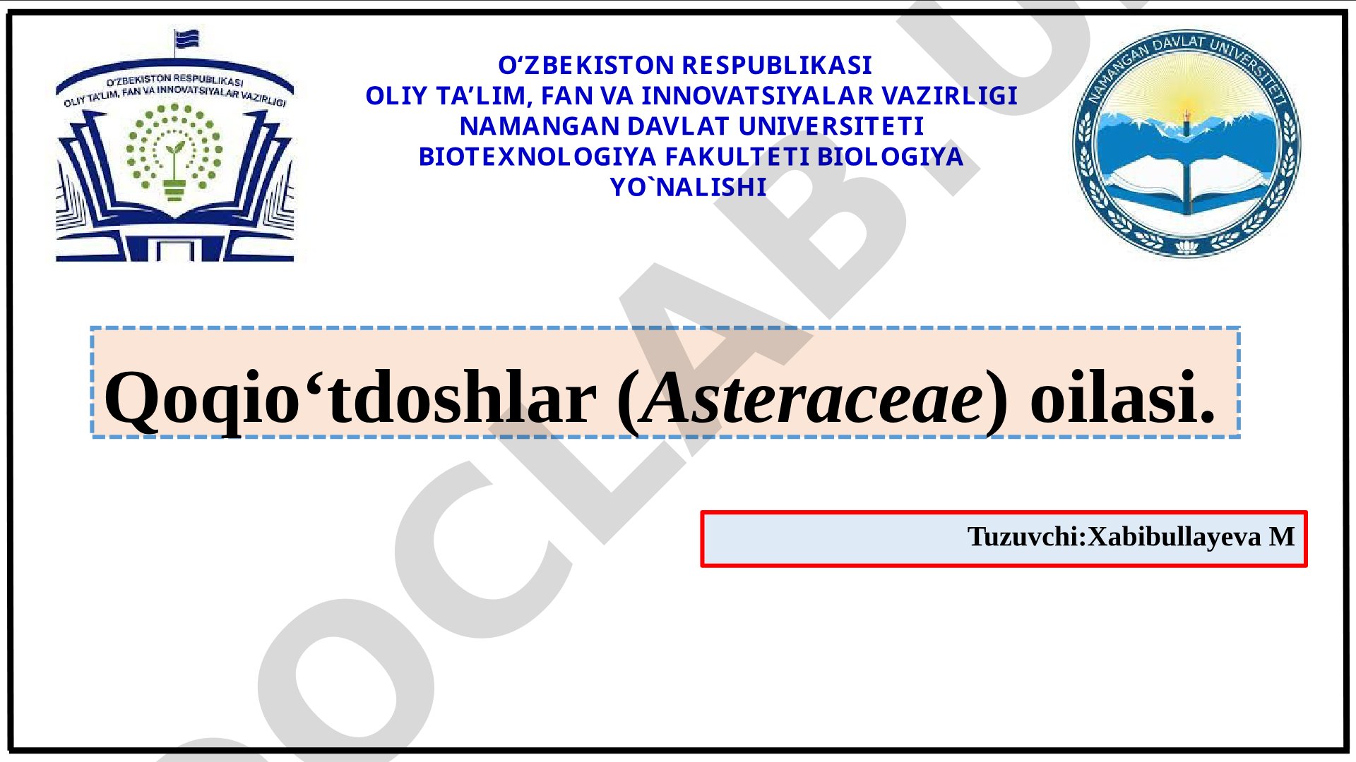 Qoqio‘tdoshlar (Asteraceae) oilasi