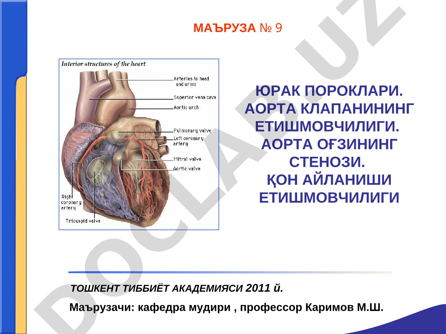 Юрак пороклари. Аорта клапанининг етишмовчилиги. Аорта оғзининг стенози