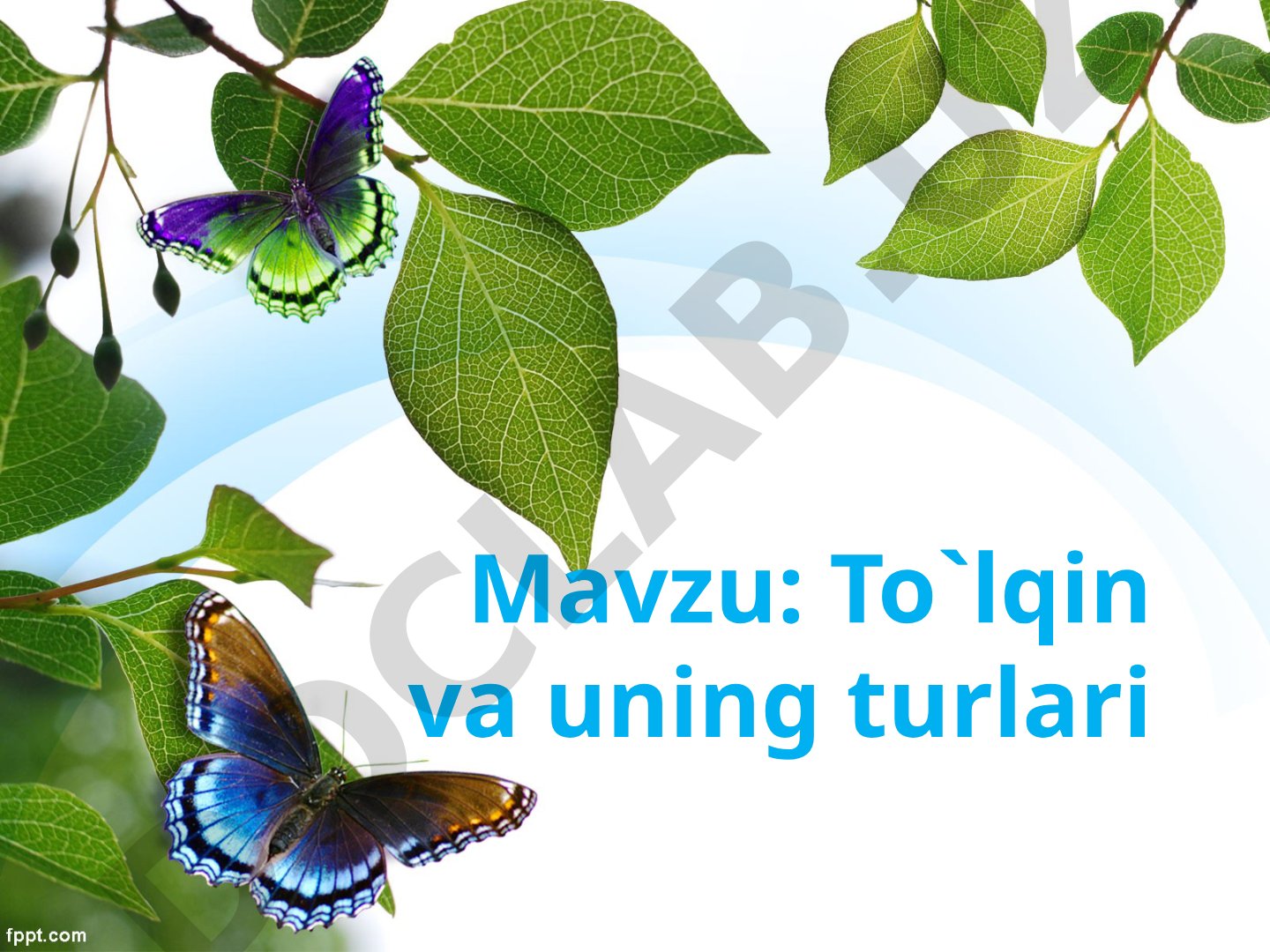 To`lqin va uning turlari