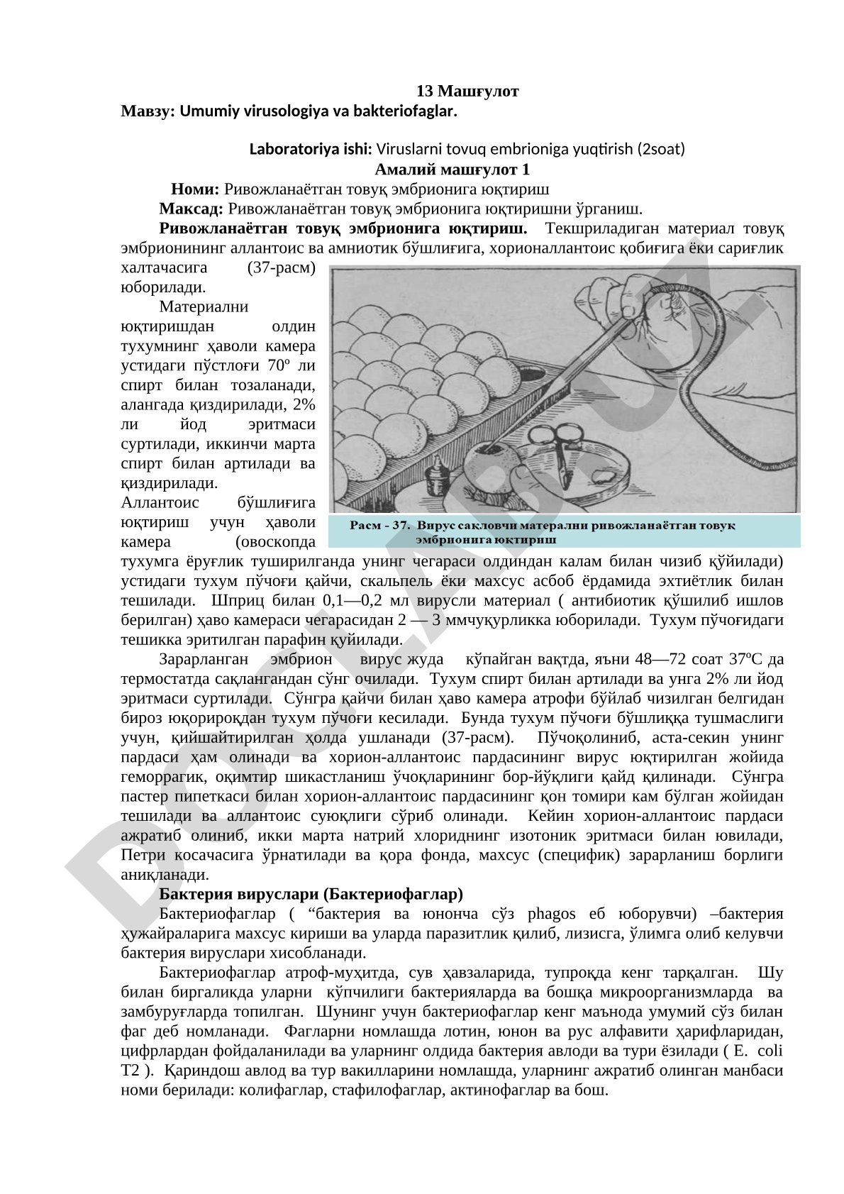 Umumiy virusologiya va bakteriofaglar. Laboratoriya ishi: Viruslarni tovuq embrioniga yuqtirish