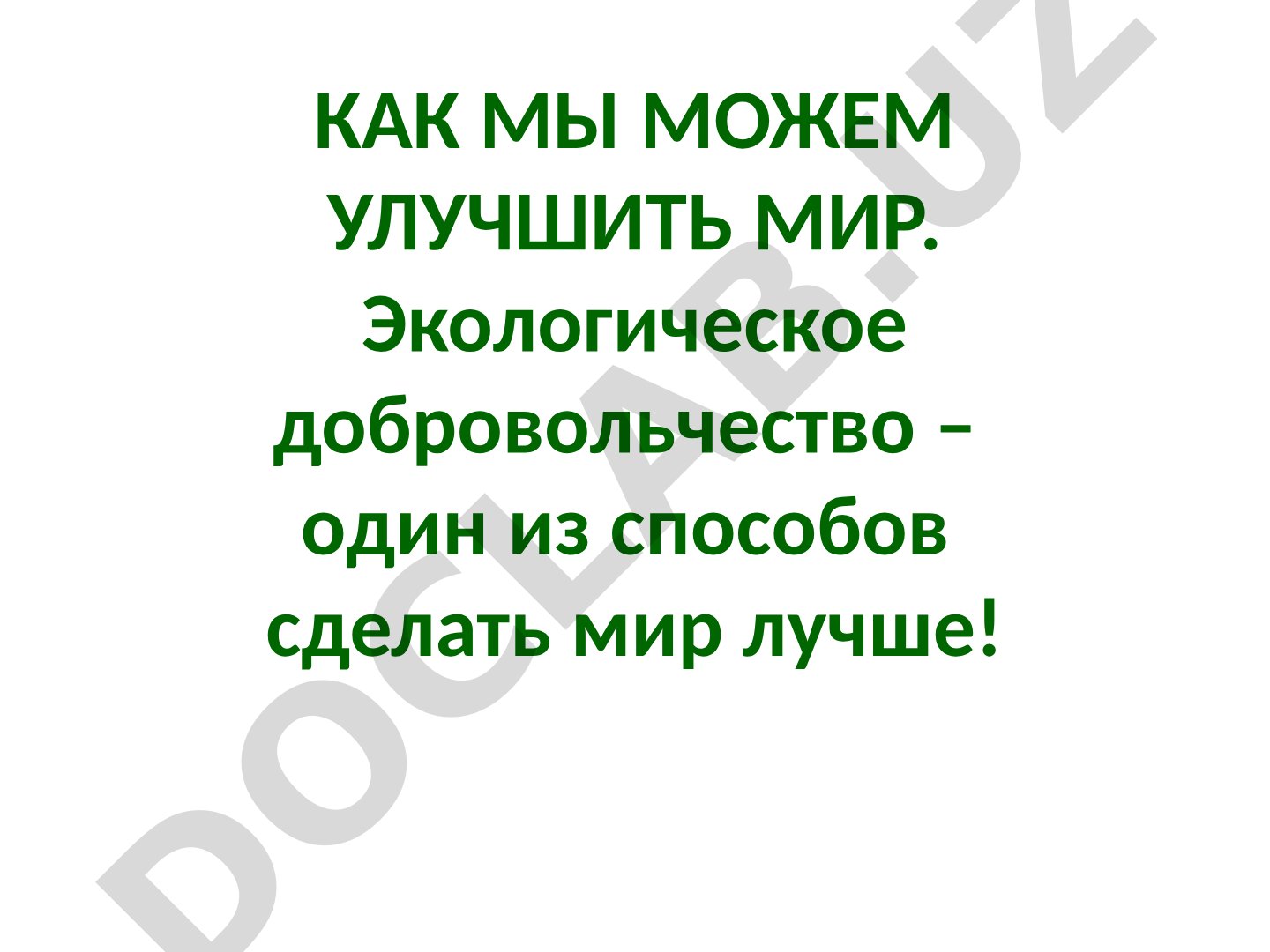Экологическое добровольчество как способ улучшить мир