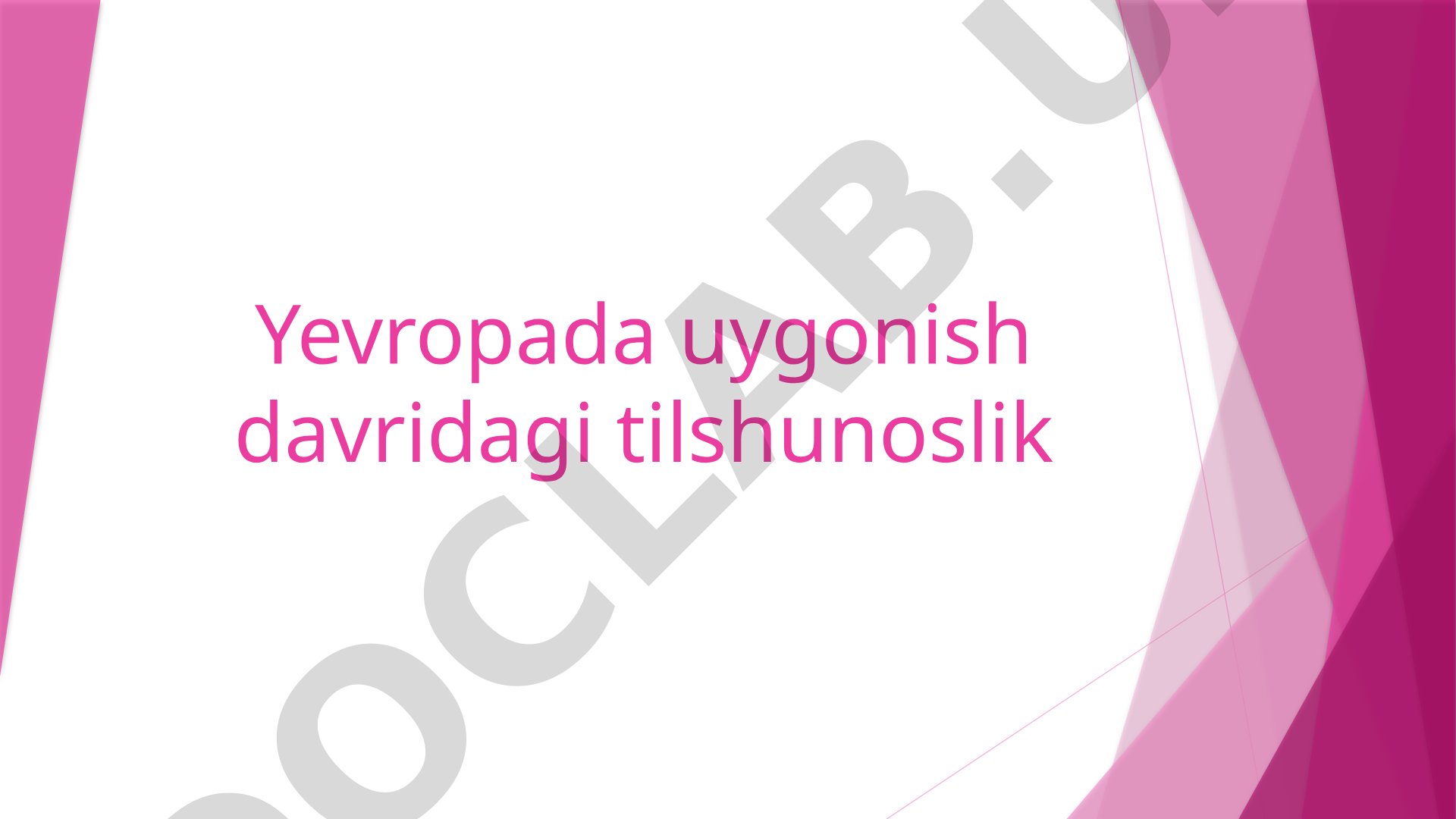 Yevropada uygonish davridagi tilshunoslik