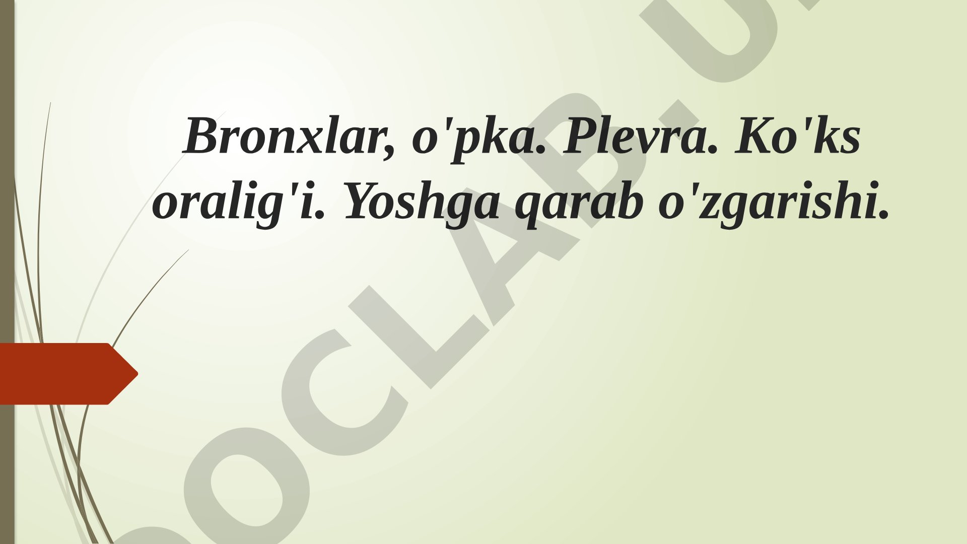 Bronxlar, o'pka. Plevra. Ko'ks oralig'i. Yoshga qarab o'zgarishi.