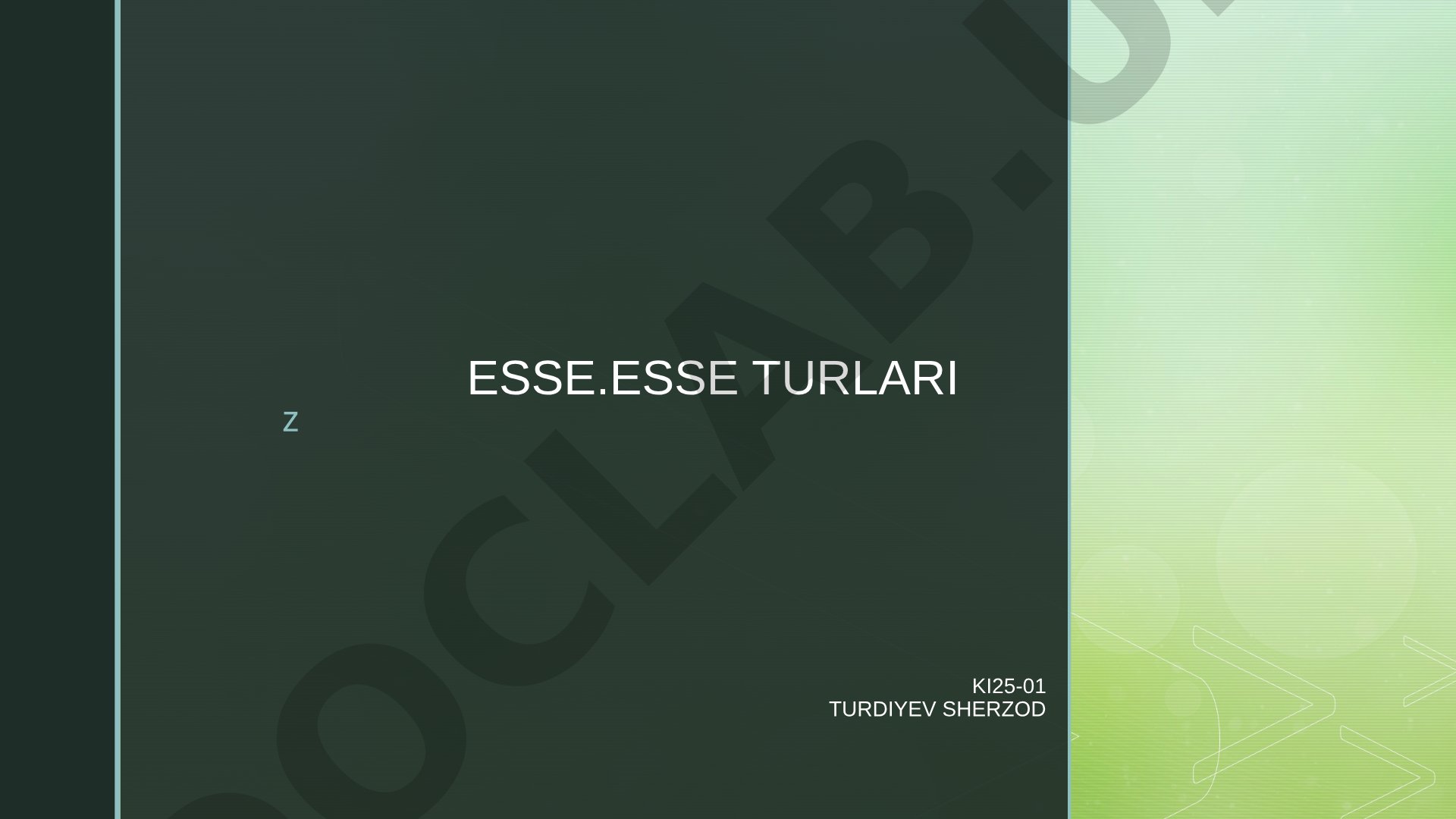 Insho (esse) turlari: tasviriy, hikoyaviy, tahliliy, taqqoslovchi va munozarali