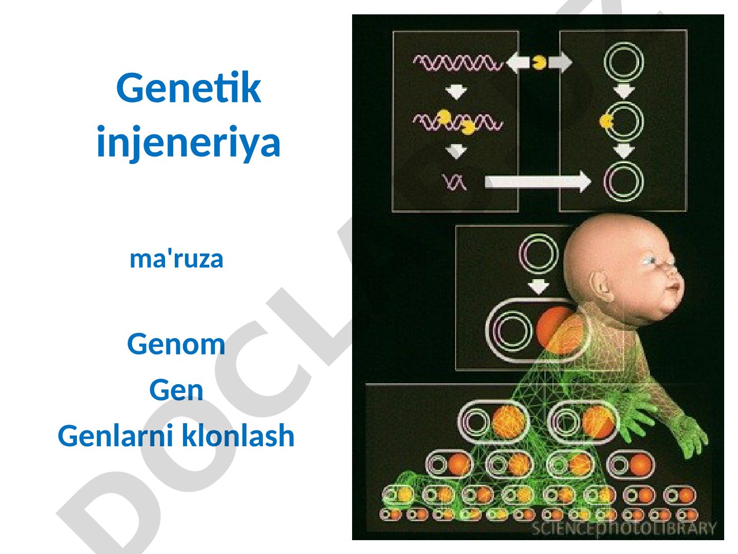 Genetik injeneriya, genom, rekombinant DNK va transgen organizmlar haqida