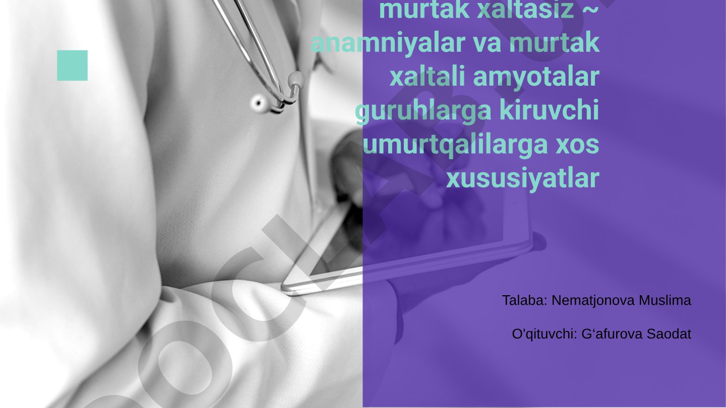 Murtak xaltasiz umurtqalar va anamniyalar hamda amyotalarning xususiyatlari