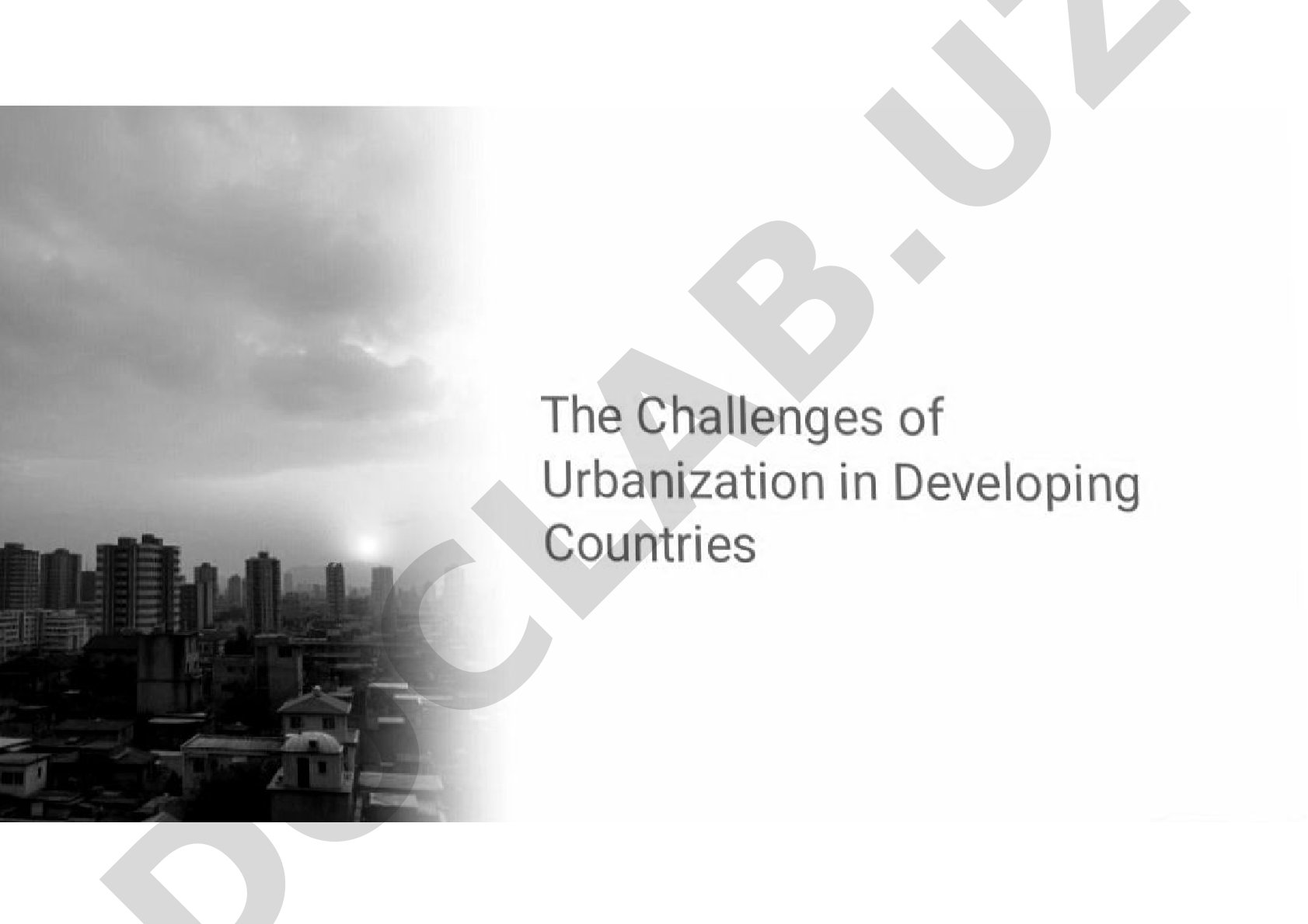 The Challenges of Urbanization in Developing Countries
