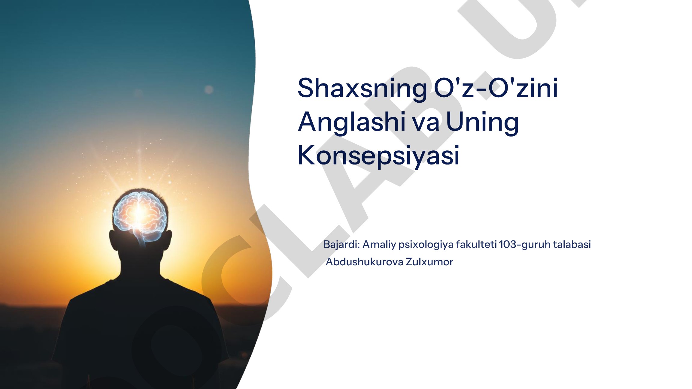 Shaxsning O'z-O'zini Anglashi va Uning Konsepsiyasi