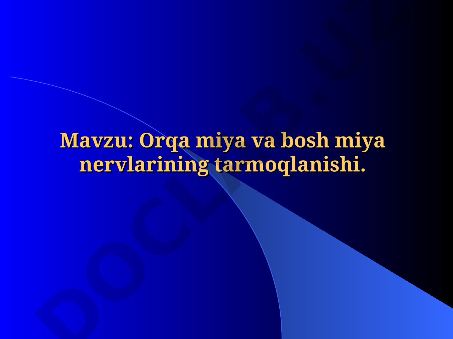 Orqa miya va bosh miya nervlarining tarmoqlanishi