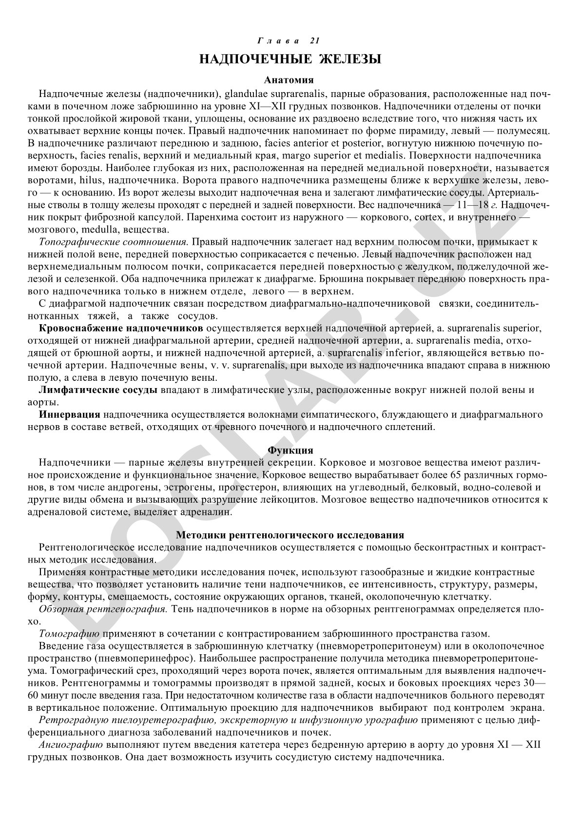 Описание анатомии надпочечников: форма, поверхности, сосуды, корковое и мозговое вещество