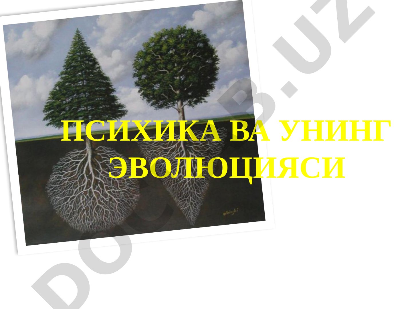 Psixika va uning evolyutsiyasi