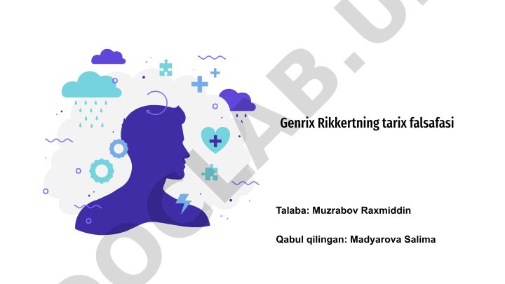 Genrix Rikkertning tarix falsafasi