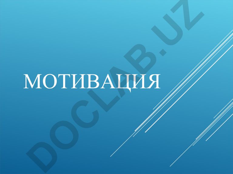 Мотивация: виды, процесс и значение
