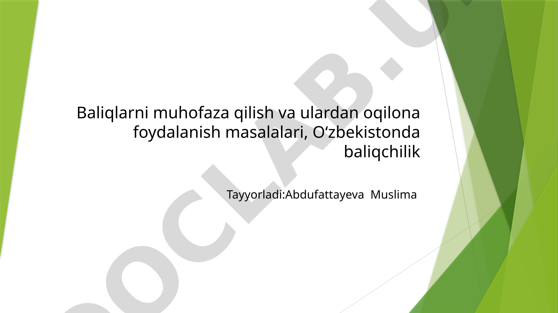 Baliqlarni muhofaza qilish va ulardan oqilona foydalanish masalalari, O‘zbekistonda baliqchilik