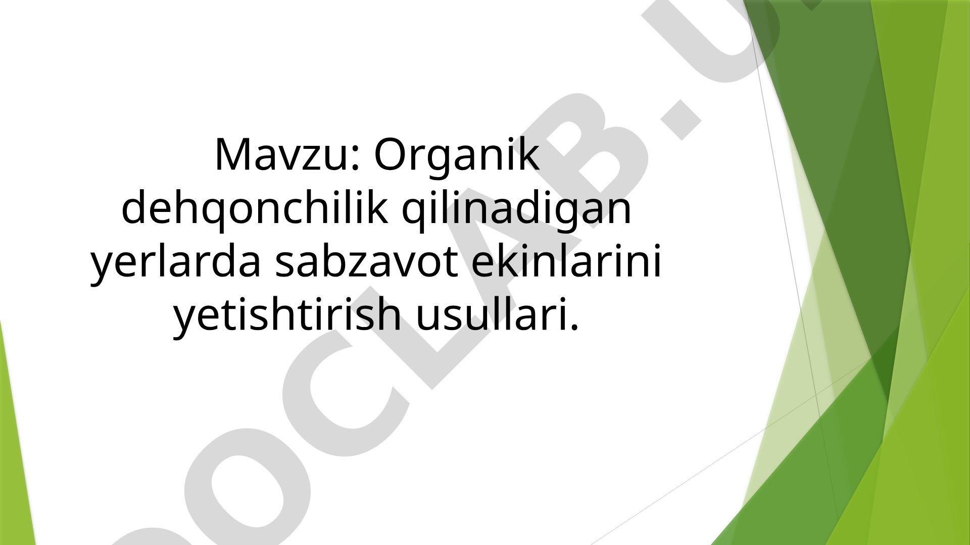Organik dehqonchilik qilinadigan yerlarda sabzavot ekinlarini yetishtirish usullari