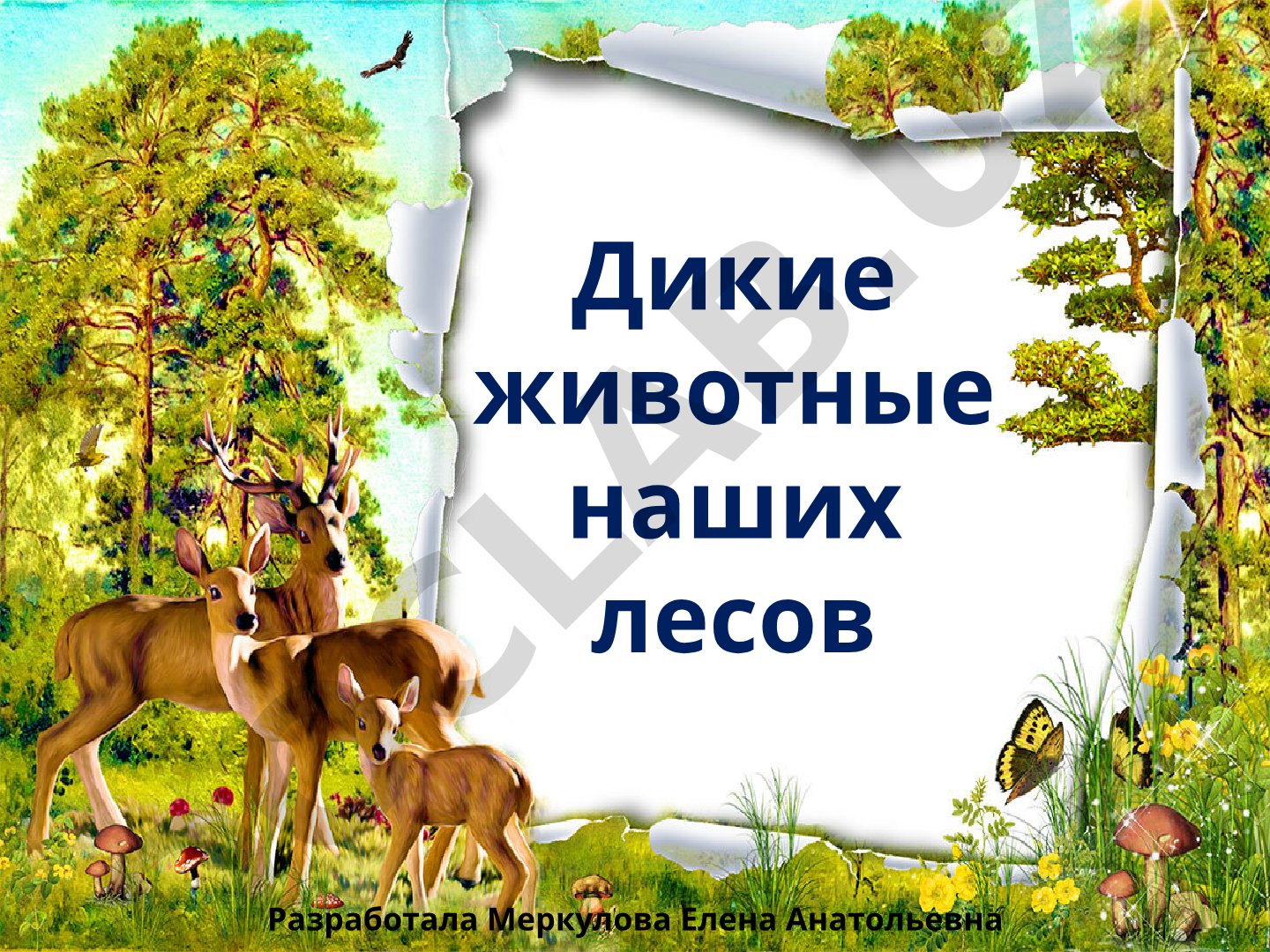 Дикие животные наших лесов