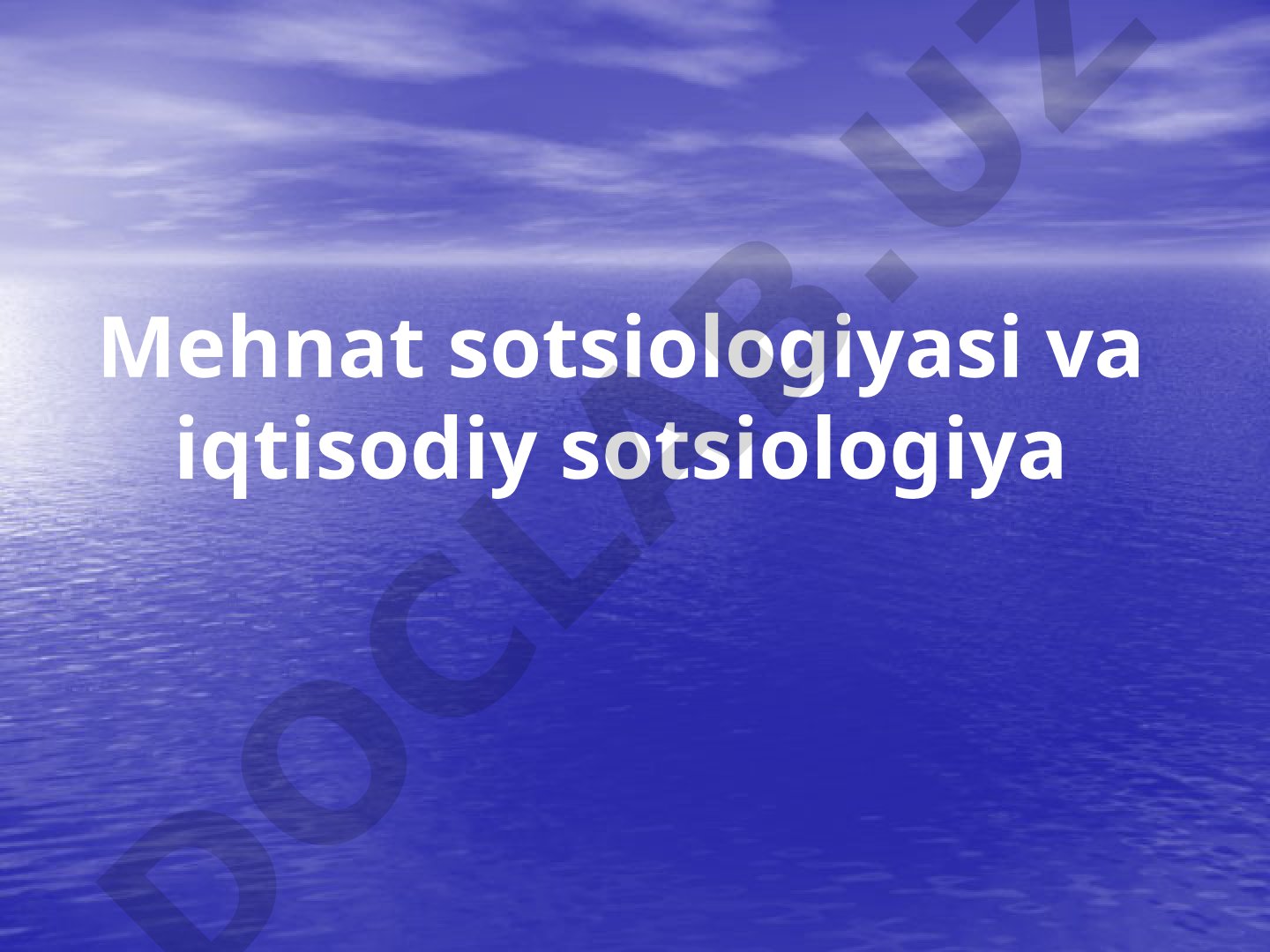 Mehnat sotsiologiyasi va iqtisodiy sotsiologiya