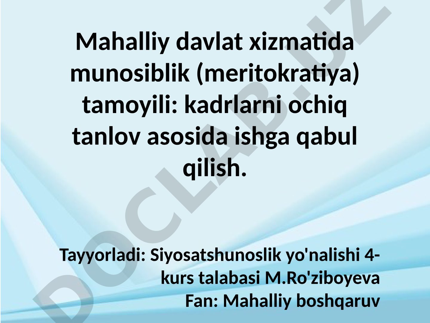 Mahalliy davlat xizmatida munosiblik (meritokratiya) tamoyili