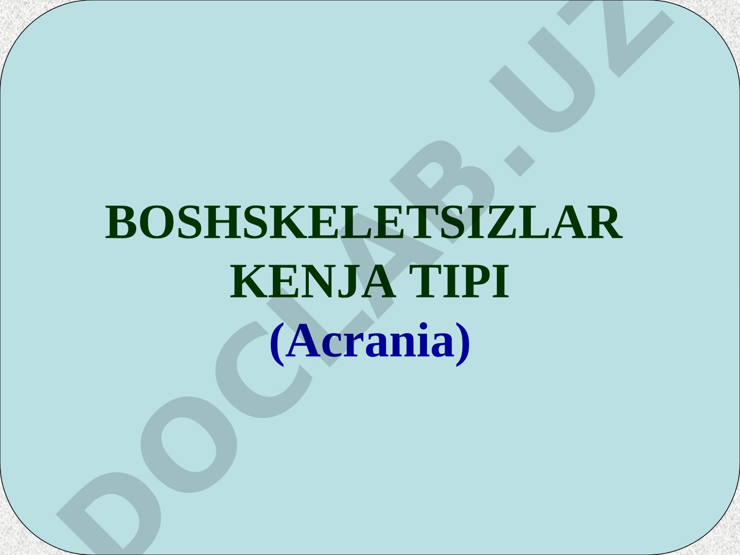 BOSHSKELETSIZLAR KENJA TIPI (Acrania)