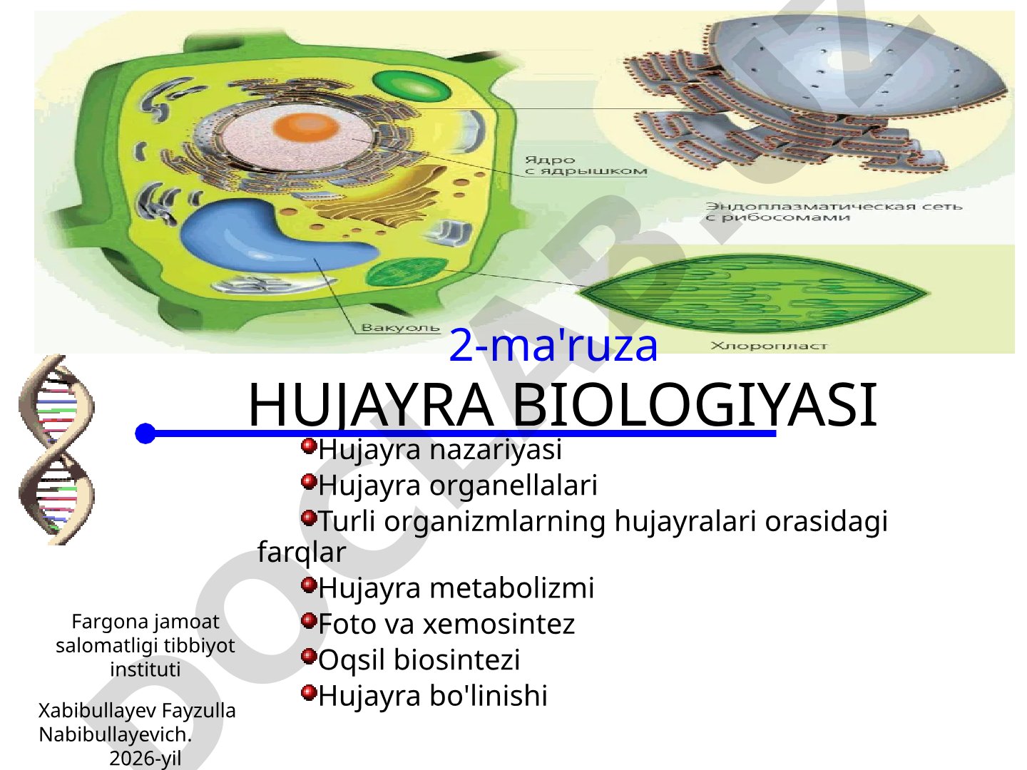 Hujayra nazariyasi, organellalari, metabolizmi va bo'linishi haqida ma'ruza