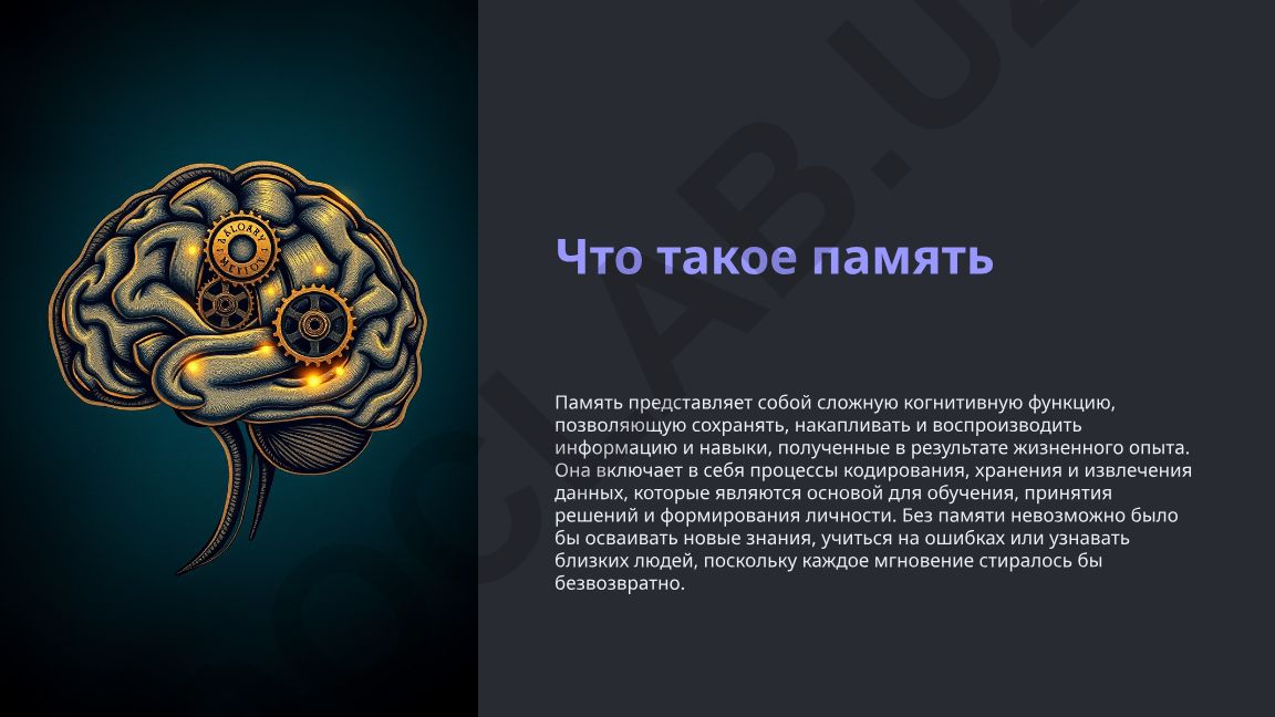 Что такое память и как она работает