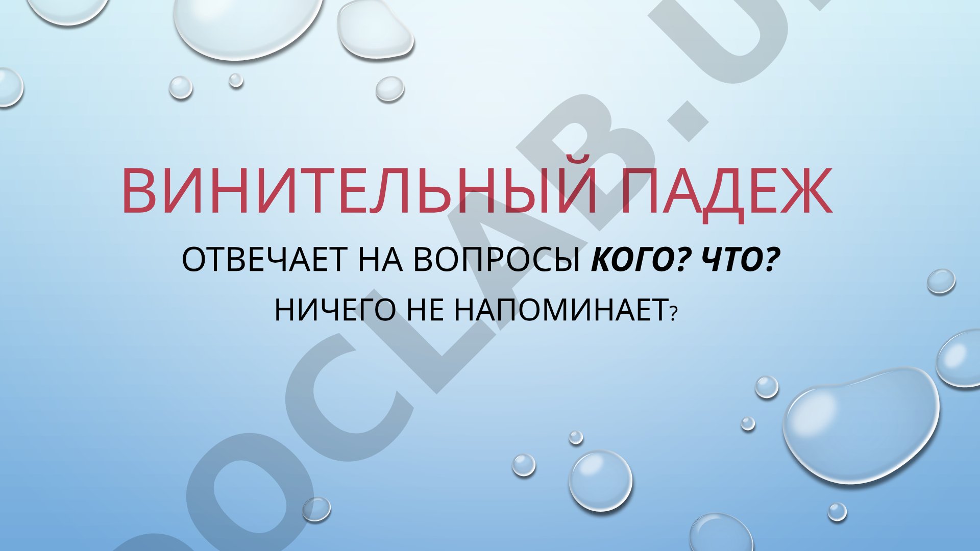Винительный падеж в русском языке