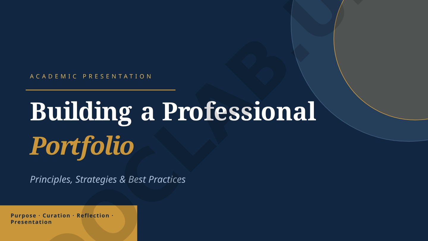 Building a Professional Portfolio