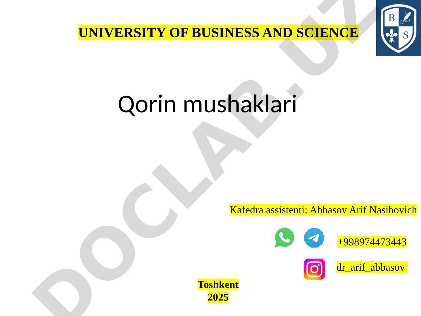 Qorin muskullari anatomiyasi, tashqi qiyshiq muskul va chov boylami