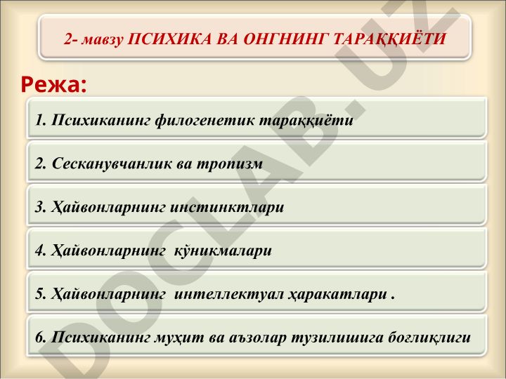 Психика ва онгнинг тараққиёти