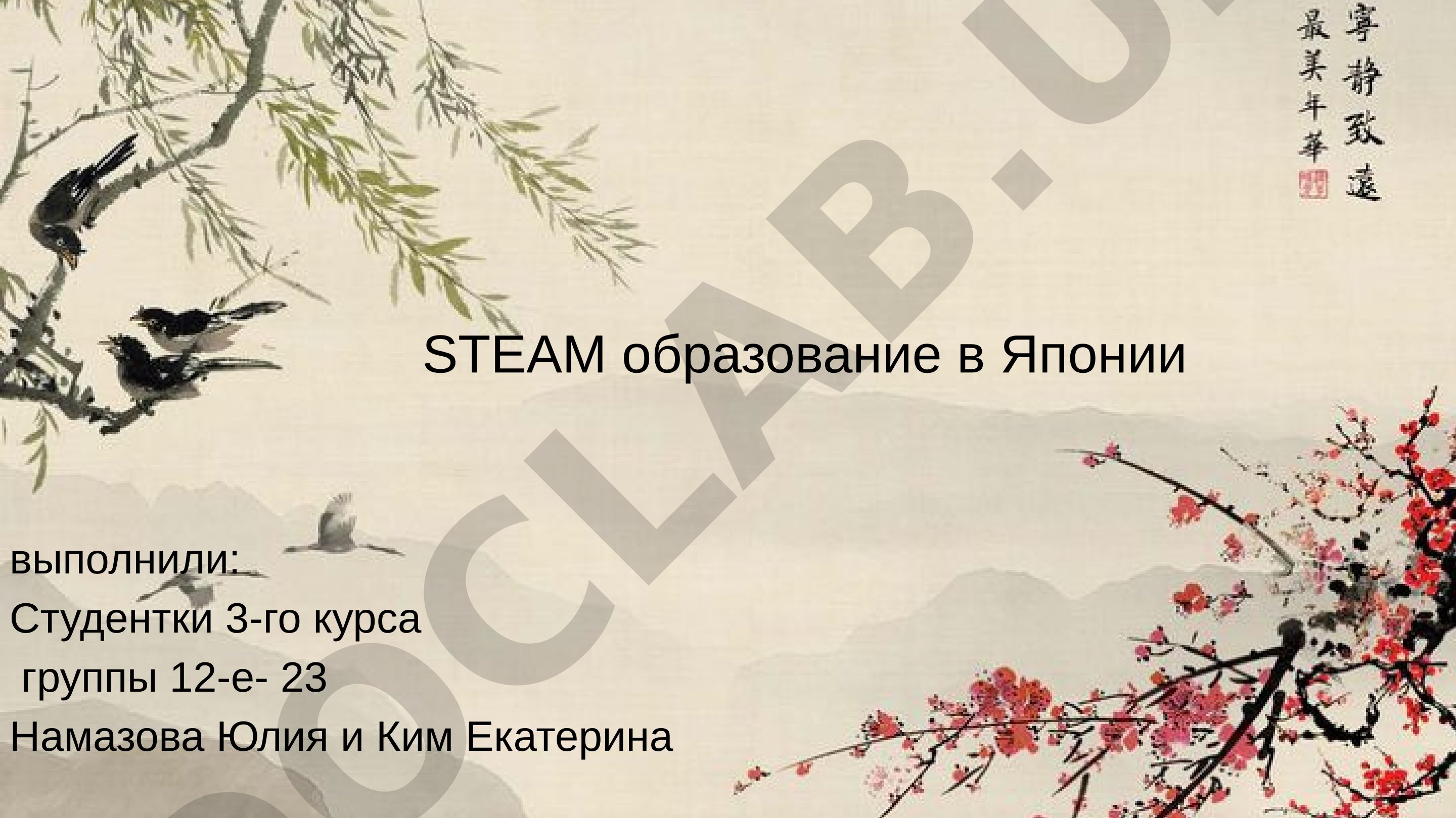 STEAM образование в Японии