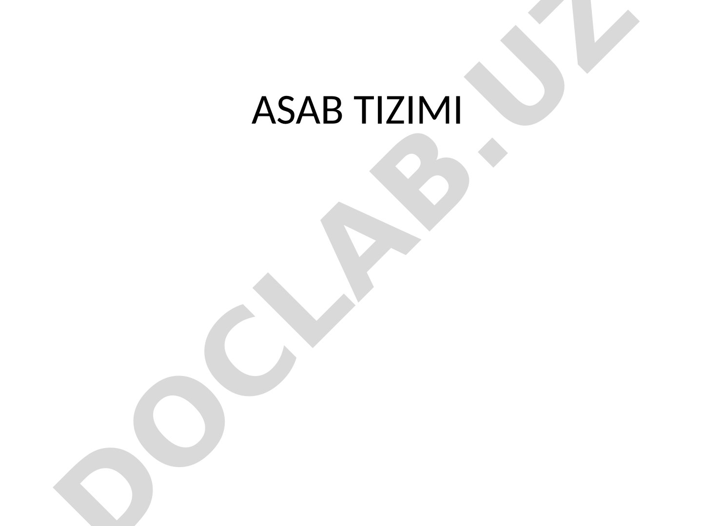 Asab tizimi: nerv to'qimasi va orqa miya