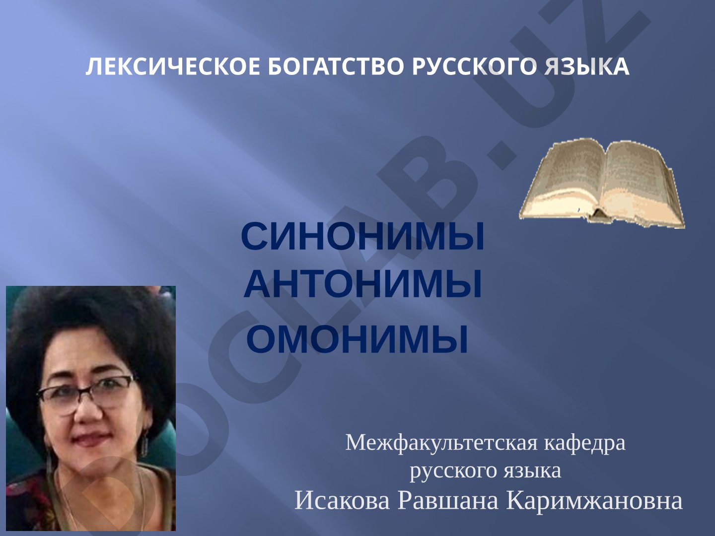 Лексическое богатство русского языка: синонимы, антонимы, омонимы