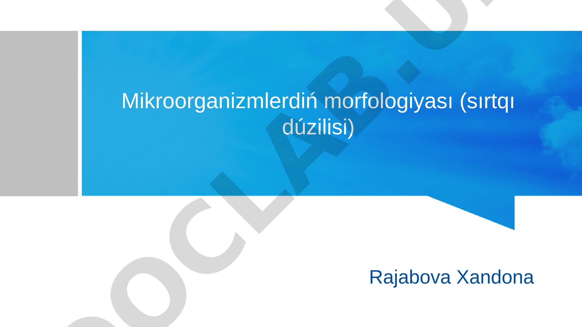 Mikroorganizmlerdiń morfologiyası (sırtqı dúzilisi)