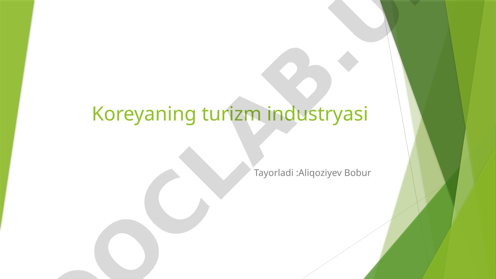 Koreyaning turizm industryasi