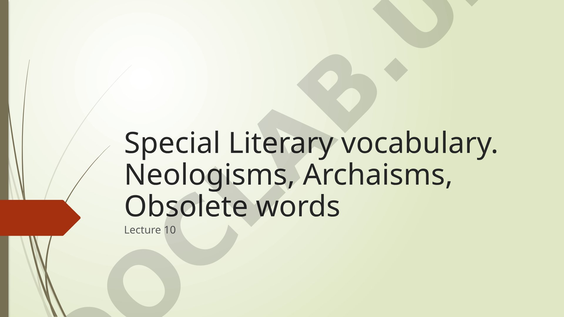 Special Literary vocabulary. Neologisms, Archaisms, Obsolete words
