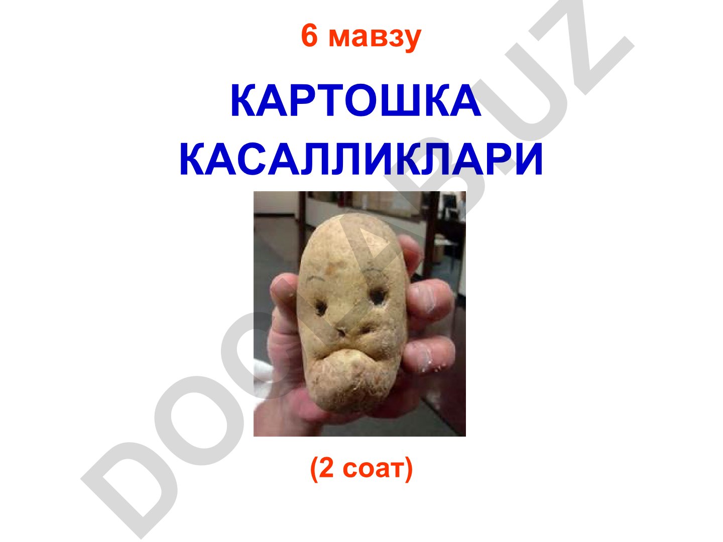 Картошка касалликлари ва уларнинг ризоктониози